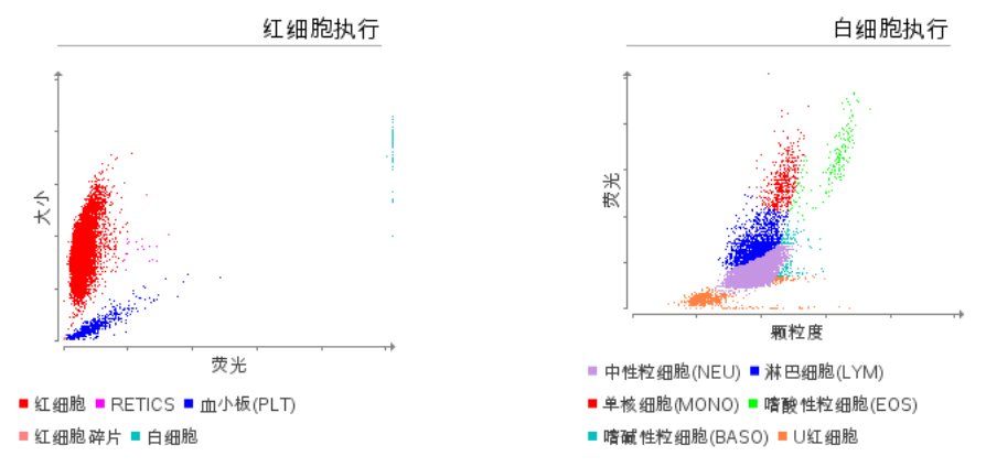 Liver Disease in Canines and Felines-Case Sharing(图2)