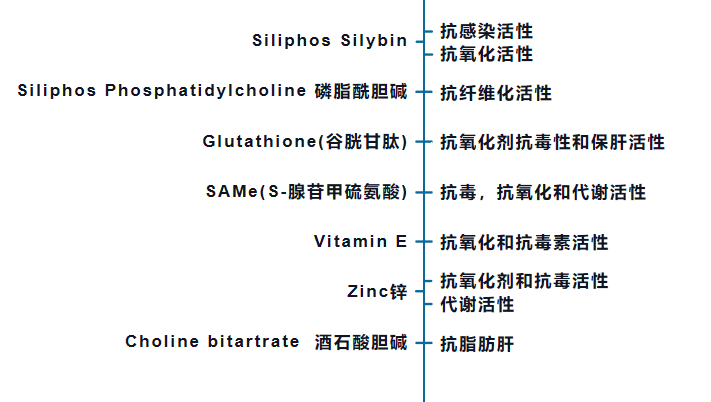 Liver Disease in Canines and Felines-Case Sharing(图10)