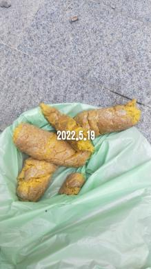 Treatment of EPI and Pancreatitis in Dogs and Cats(图10)