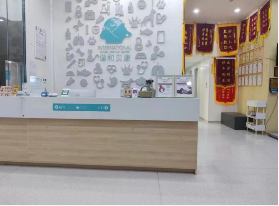 Treatment of EPI and Pancreatitis in Dogs and Cats(图12)