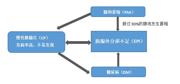 Treatment of EPI and Pancreatitis in Dogs and Cats(图1)