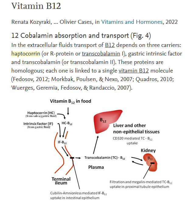 Treatment of EPI and Pancreatitis in Dogs and Cats(图2)