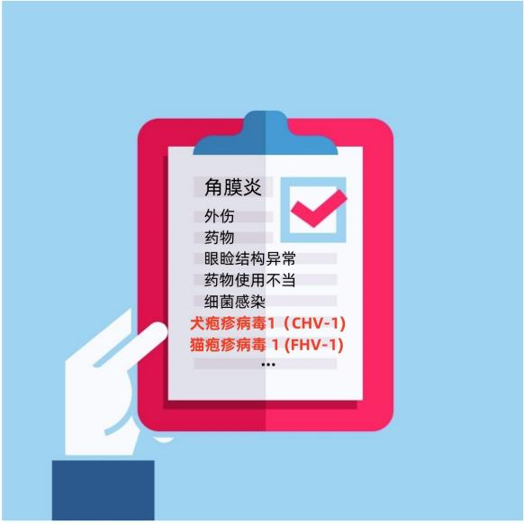 Application of antiviral ingredient Idoxuridine(IDU)(图3)