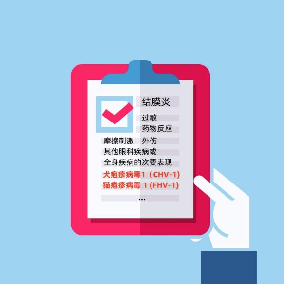 Application of antiviral ingredient Idoxuridine(IDU)(图4)