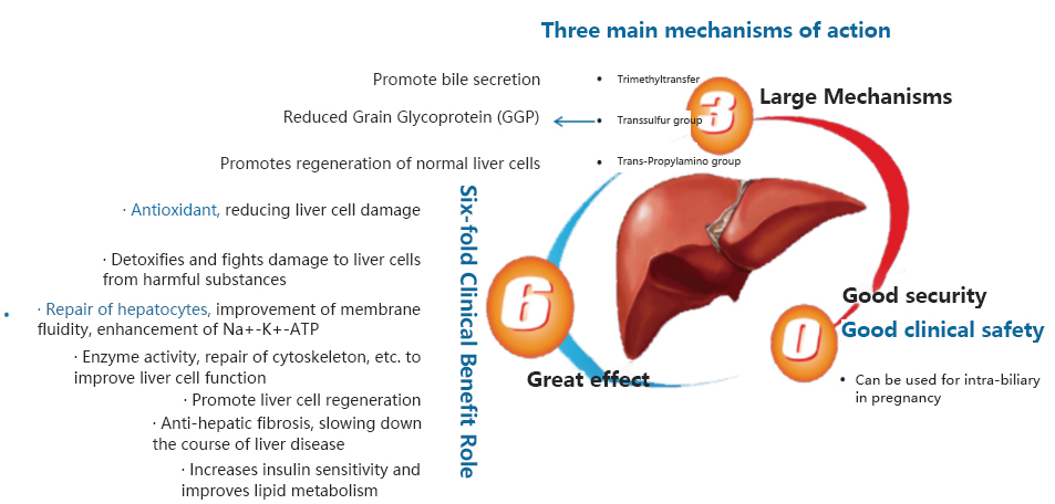 SAMe is important to protect the liver in dogs and cats!(图2)