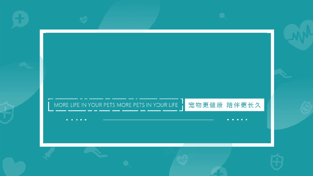 Case sharing | What to do about feline idiopathic cystitis (FIC)?(图1)