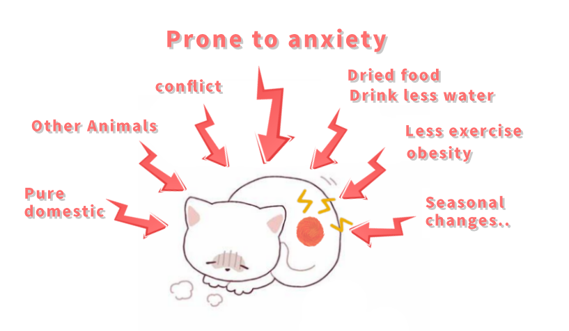 Case sharing | What to do about feline idiopathic cystitis (FIC)?(图7)