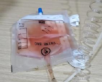 Case sharing | What to do about feline idiopathic cystitis (FIC)?(图19)