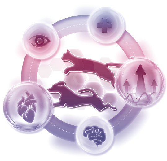 New product launch | Iverage multi-effects in one, protecting the health of multiple organ functions(图3)