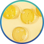 New product launch | Iverage multi-effects in one, protecting the health of multiple organ functions(图13)